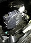 IMG_1316.jpeg